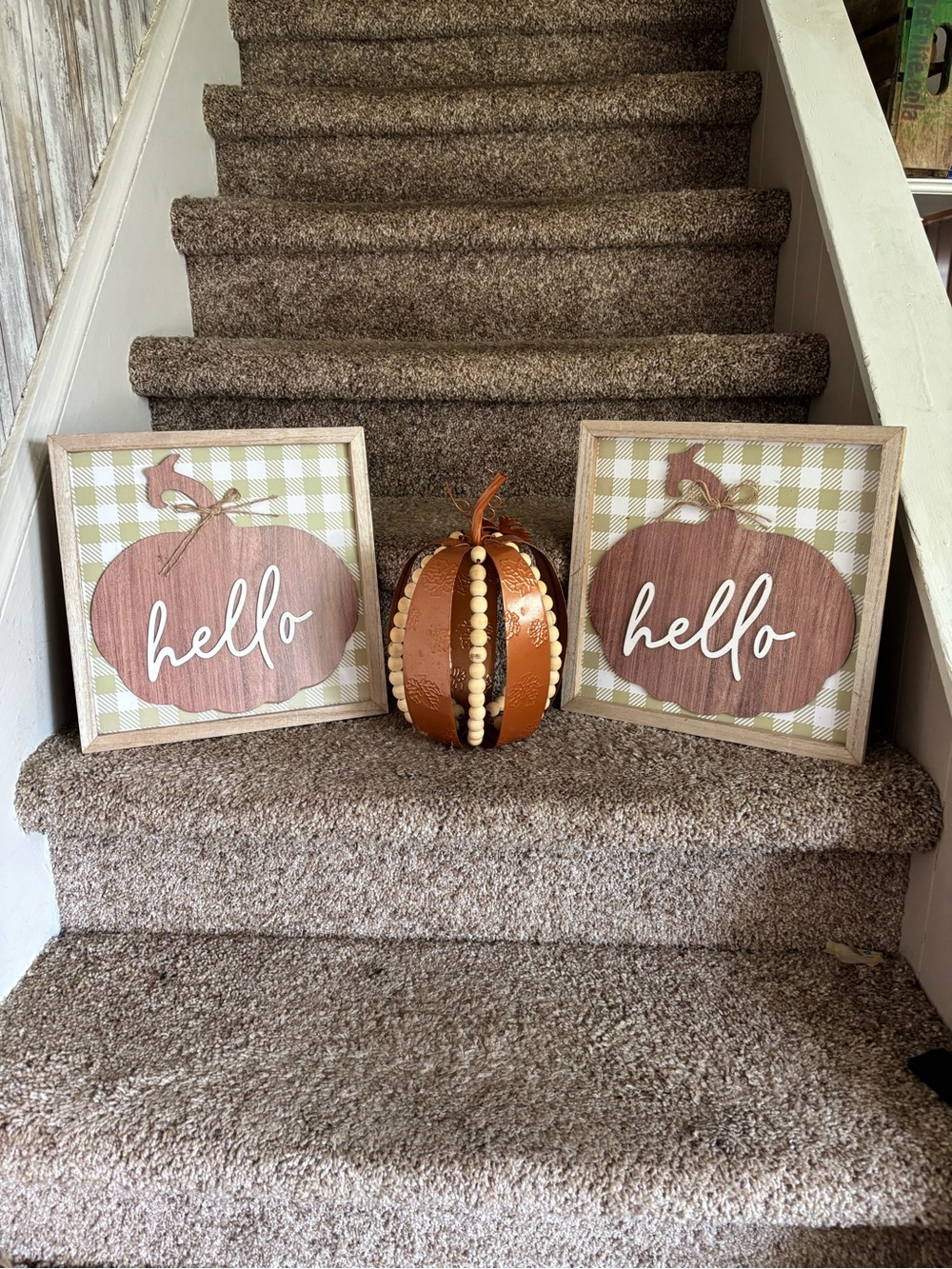 Hello Pumpkin Wall Art Set with Decorative Brown Pumpkin